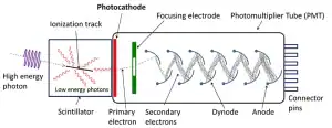 Pic_Photomultiplier_tube_PMT