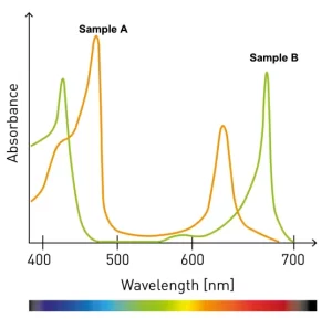 absorption spectrum Picture
