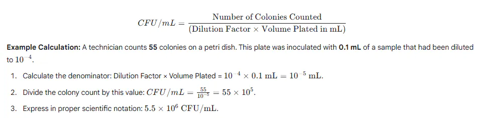 Calculating the Final Result