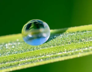 surface tension-002