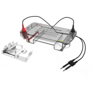 DL-SUB01 Horizontal Electrophoresis Tank
