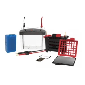 DL-ZY04 Transfer Electrophoresis Tank