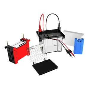 DL-ZY02 Transfer Electrophoresis Tank