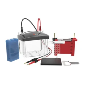 DL-ZY03 Transfer Electrophoresis Tank