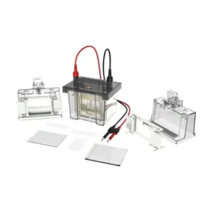 DL-Mini01 Transfer Electrophoresis Tank