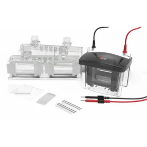 DL-Mini04 Transfer Electrophoresis Tank
