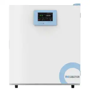BISF-100C 系列生物安全低温培养箱（HEPA过滤器）