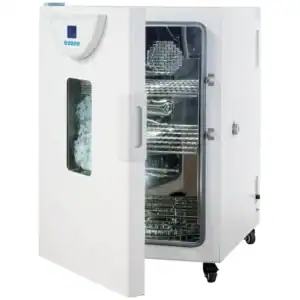 BPH-9042 系列精密恒温培养箱