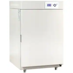 BPN-50CH(UV) 系列二氧化碳培养箱