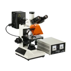 Fluorescence Microscope