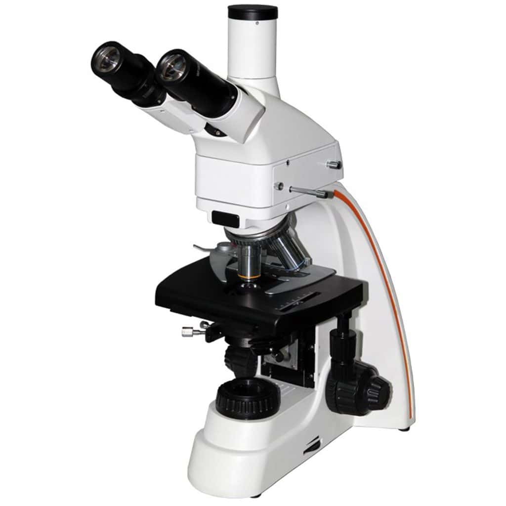 HINOTEK Fluorescence Microscopes | China Supplier for Lab & Research