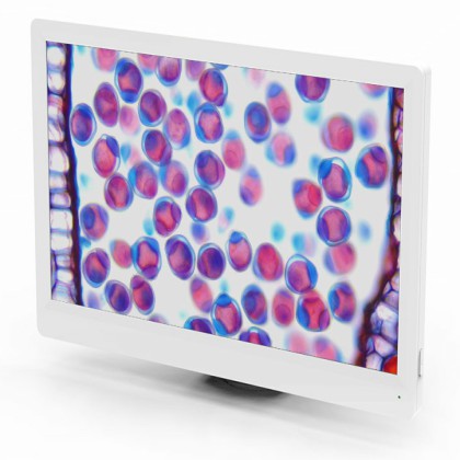 Retina Screen