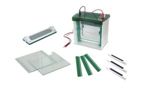 JY-CZ-BL Rapid SSR vertical electrophoresis tank