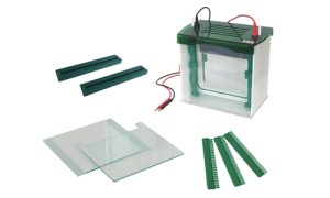 JY-JX5L Vertical gel electrophoresis cell