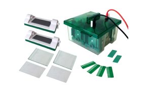 JY-Mini-P4 Vertical Mini Protean Electrophoresis Cell
