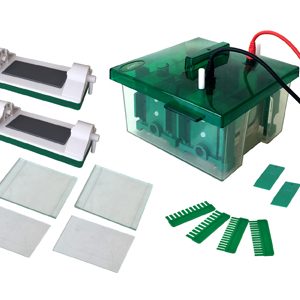 JY-Mini-P4 Vertical Mini Protean Electrophoresis Cell