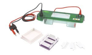 JY-SPAT Horizontal Electrophoresis Cell