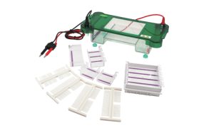 JY-SPCT Horizontal Electrophoresis