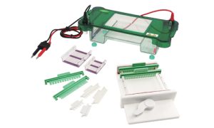 JY-SPFT Horizontal Electrophoresis Cell