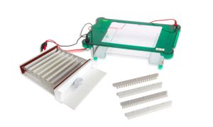 JY-SPHT Horizontal Electrophoresis Cell