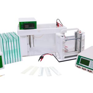 JY-TD331A Denaturing Gradient Gel Electrophoresis Unit (DGGE)