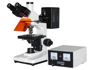 L1501