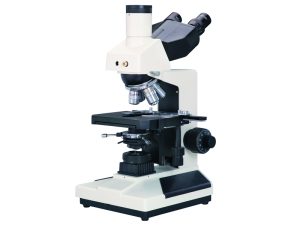 L2080