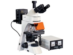 L3001