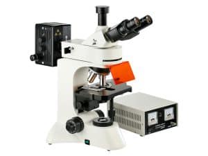 L3201 Fluorescence Microscope