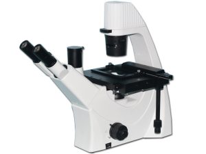 XDS-5