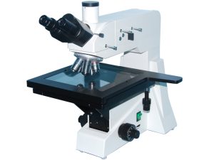 XJL-101
